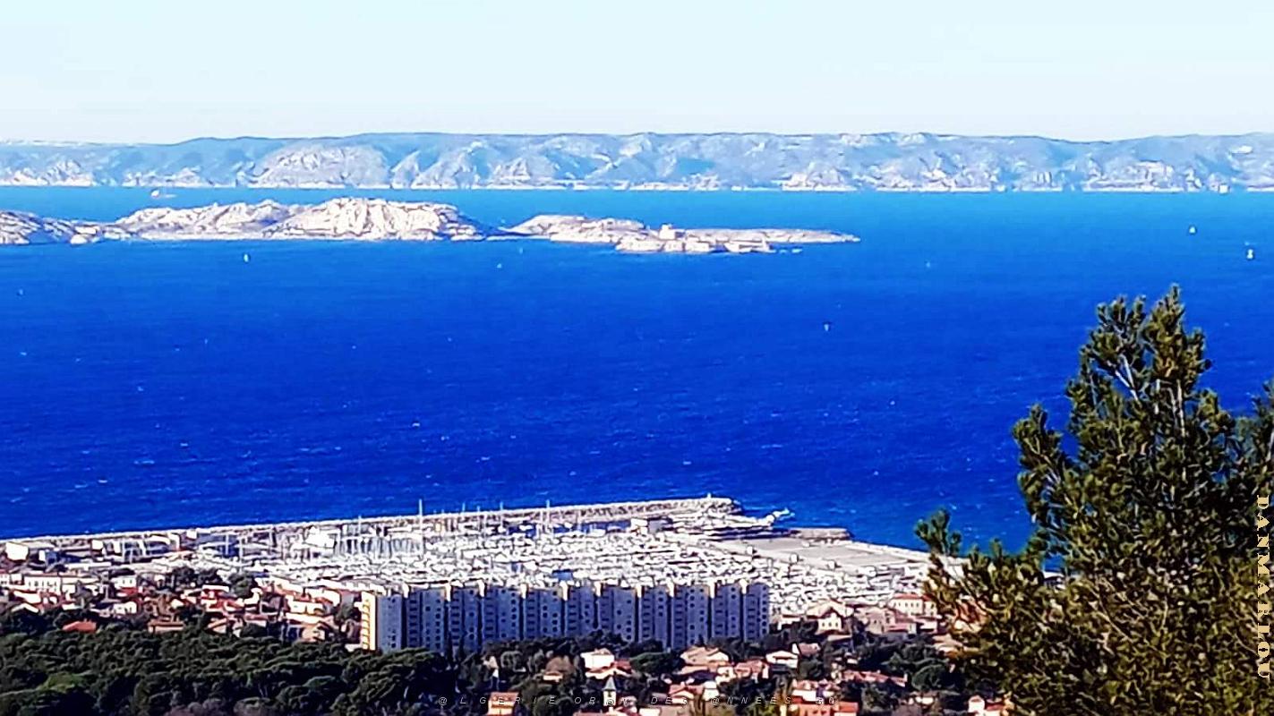 MARSEILLE - Massif Marseilleveyre - 13.01.2025 -03.jpg